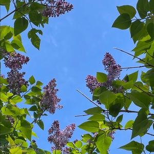 Meet your Posher, Janine